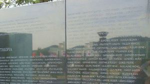 113.JPG