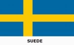 SUEDE.jpg