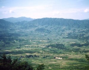 01400.JPG